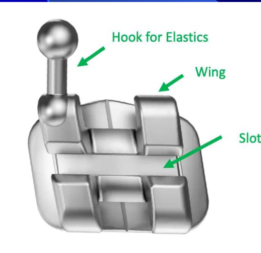 Hook for Elastics / Wing / Slot