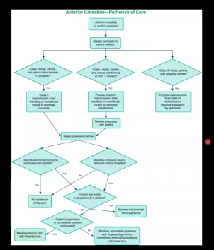 Anterior Crossbite—Pathways of Care