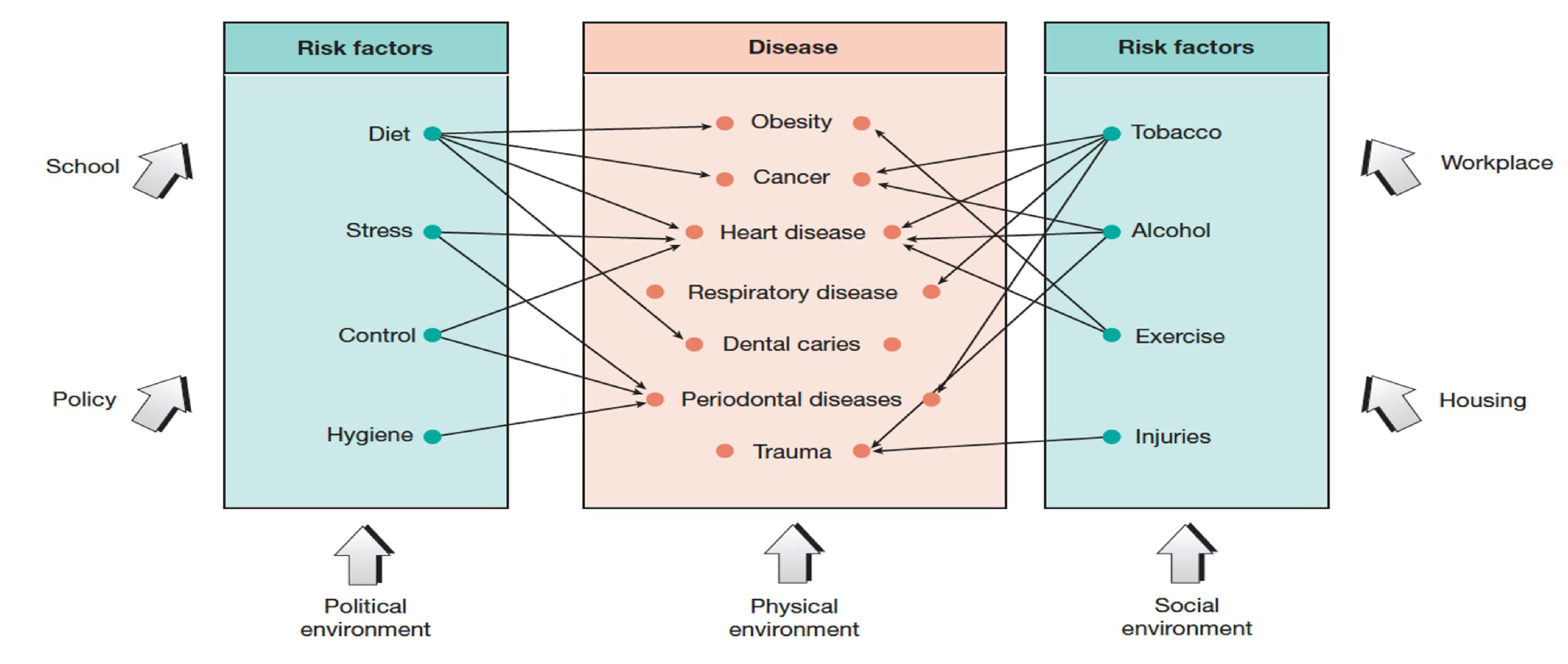 *Figure 21.1: Common-risk factor approach. Source: Watt 2005. Reproduced with permission from World Health Organisation. Originally adapted from Sheiham and Watt 2000 with permission from John Wiley & Sons.*
