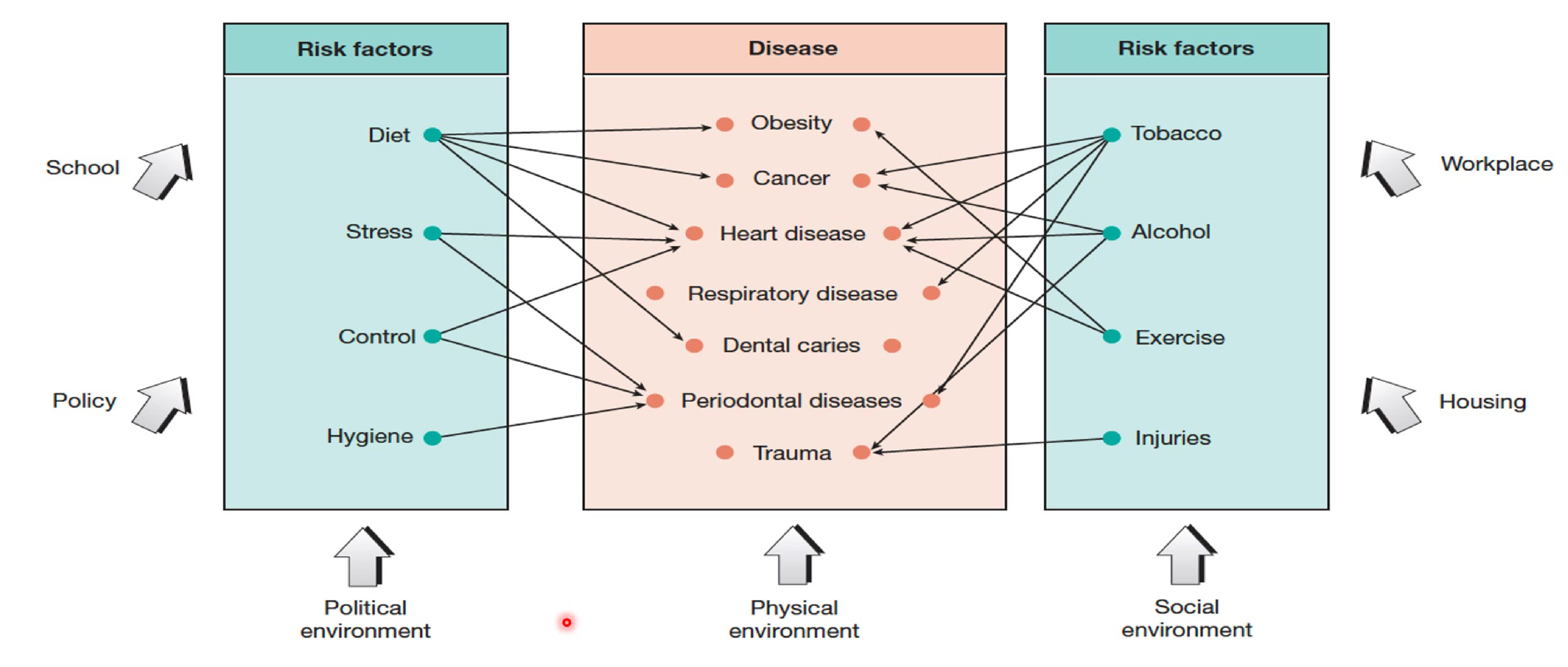 Figure 21.1 Common-risk factor approach. Source: Watt 2005. Reproduced with permission from World Health Organisation. Originally adapted from Sheiham and Watt 2000 with permission from John Wiley & Sons.
