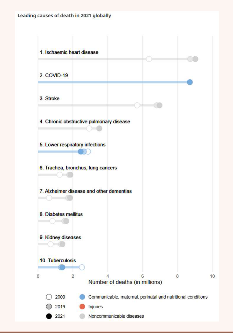 Leading causes of death in 2021 globally