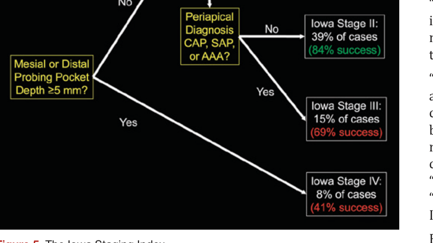 Figure 5. The Iowa Staging Index
