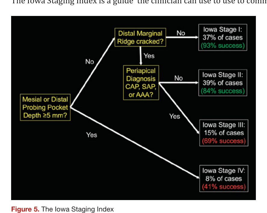 Figure 5. The Iowa Staging Index