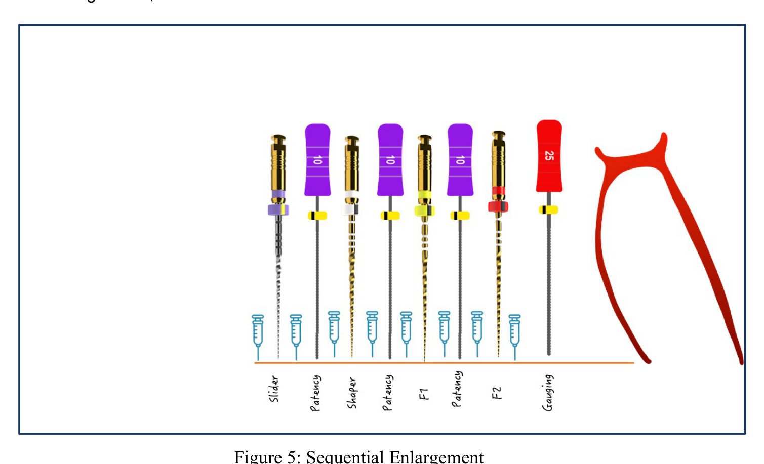 Figure 5: Sequential Enlargement